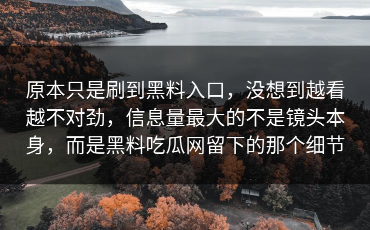 原本只是刷到黑料入口，没想到越看越不对劲，信息量最大的不是镜头本身，而是黑料吃瓜网留下的那个细节