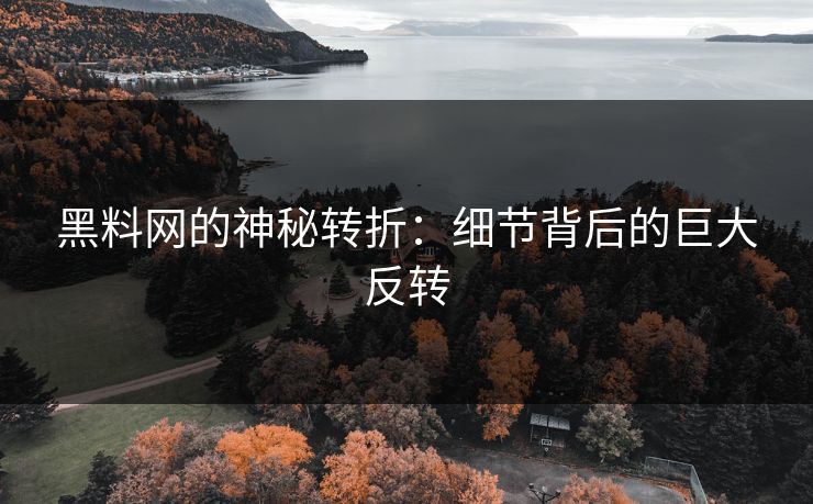 黑料网的神秘转折：细节背后的巨大反转