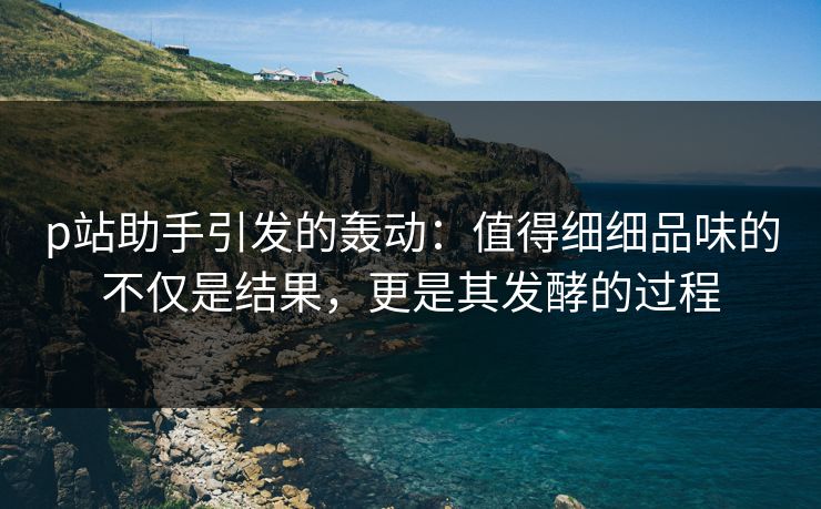 p站助手引发的轰动：值得细细品味的不仅是结果，更是其发酵的过程