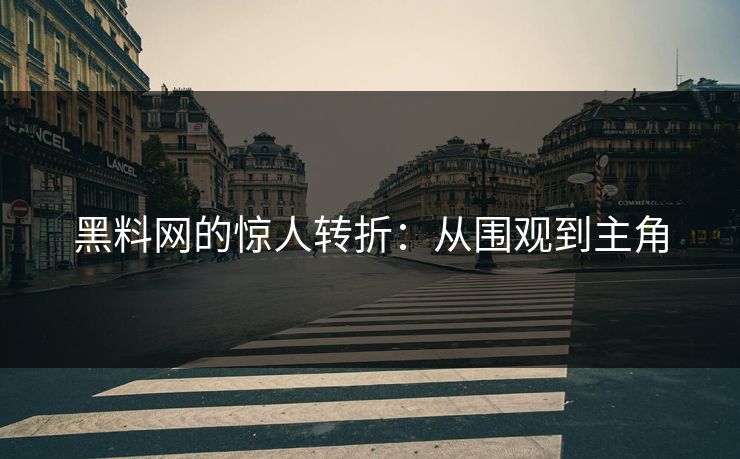 黑料网的惊人转折：从围观到主角