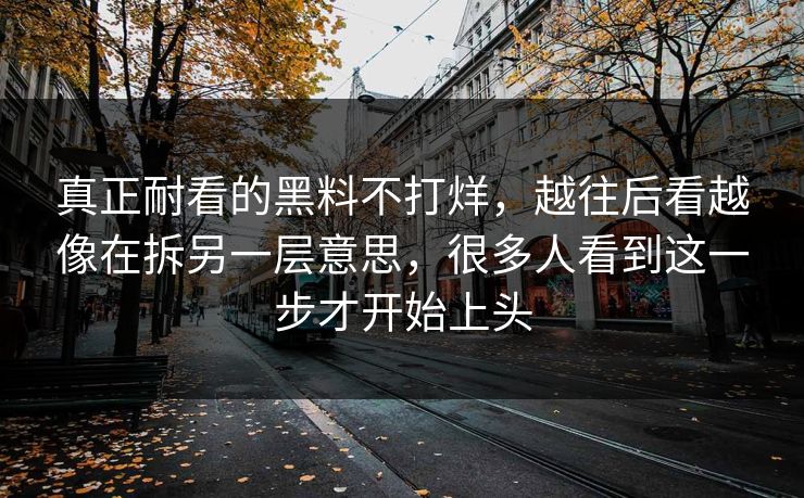 真正耐看的黑料不打烊，越往后看越像在拆另一层意思，很多人看到这一步才开始上头