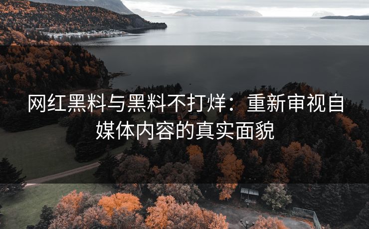 网红黑料与黑料不打烊:重新审视自媒体内容的真实面貌 网红黑料与黑料不打烊:重新审视自媒体内容的真实面貌
