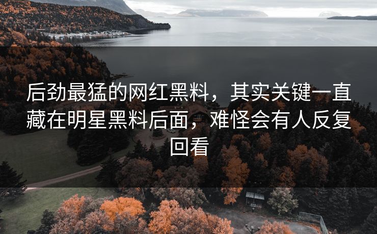 后劲最猛的网红黑料，其实关键一直藏在明星黑料后面，难怪会有人反复回看