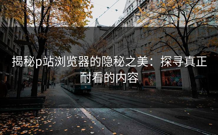 揭秘p站浏览器的隐秘之美：探寻真正耐看的内容